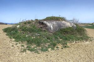 Ligne Maginot - EICHELBERG NORD - (Blockhaus pour canon) - Les entrées totalement remblayées