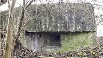 Ligne Maginot - 415 - RIEBEL - (Casemate d'infanterie) - Chambre de tir Nord
Créneau mitrailleuse
