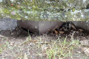 Ligne Maginot - AERODROME D'ENTZHEIM - (Observatoire d'infanterie) - La guérite pentagonale noyée dans le bétonnage
L'embrasure ne laisse apparaitre que les deux créneaux d'observation frontaux de la guérite