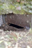 Ligne Maginot - AERODROME D'ENTZHEIM - (Observatoire d'infanterie) - Détail du créneau d'observation droit de la guérite