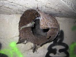 Ligne Maginot - HAUTE DIGUE 2 - (Blockhaus pour arme infanterie) - Chambre de tir
Conduit de ventilation au-dessus du créneau mitrailleuse gauche