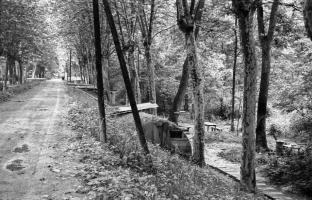Ligne Maginot - HAUTE DIGUE 5 - (Blockhaus pour arme infanterie) - Le blockhaus et le barrage routier sont visibles à l'arriére plan de la photo