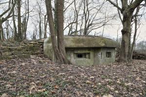 Ligne Maginot - I6 - (Blockhaus pour arme infanterie) - Le blockhaus pour deux mitrailleuses
Une partie de l'empierrement est encore visible à gauche