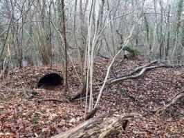 Ligne Maginot - UHRICH - HOCHE (1° BON 237° RI) - (PC de Sous-Quartier) - Les deux abris en tôle métro sur le saillant gauche du front de tête