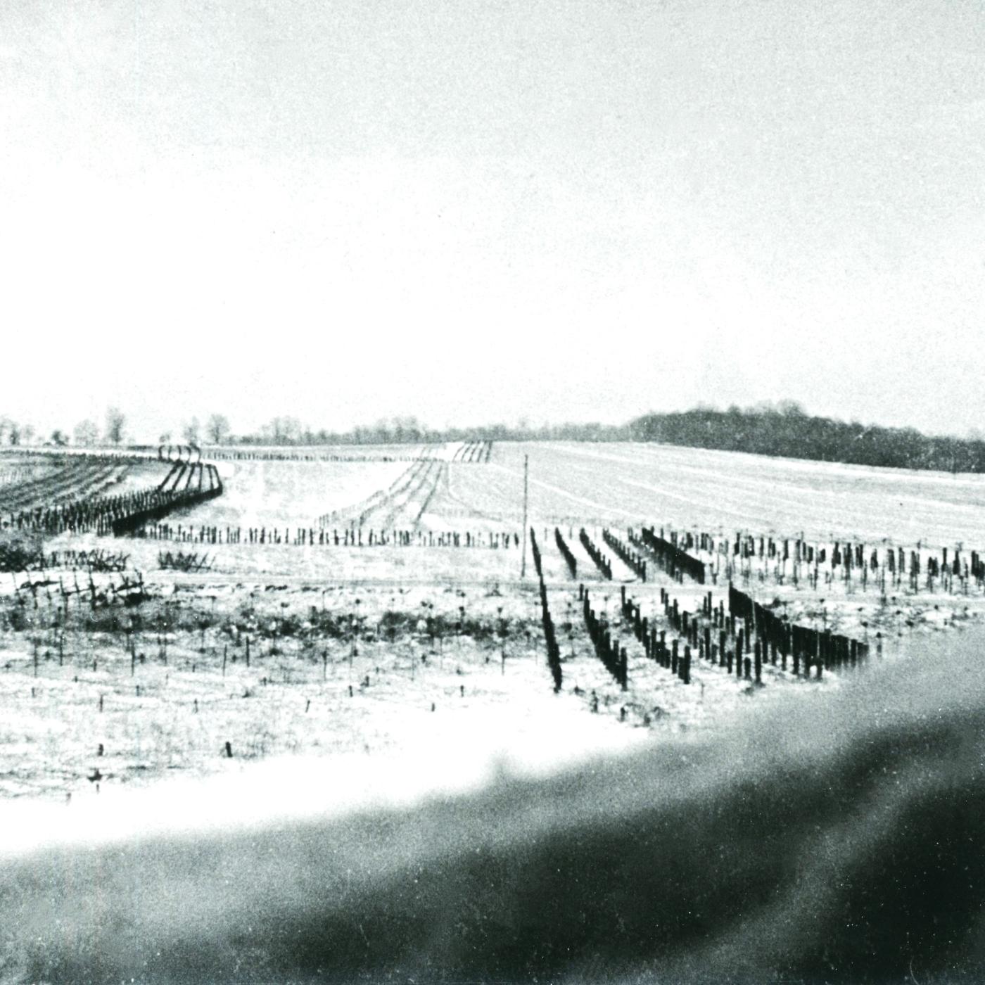 Ligne Maginot - FERME CHAPPY - A1 - (Ouvrage d'infanterie) - Les réseaux antichar et antipersonnel sur les avants de l'ouvrage  - Inconnu