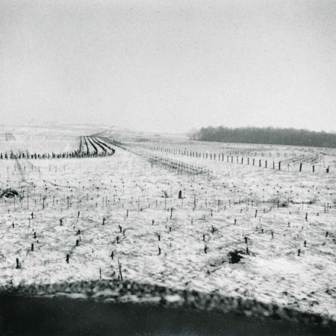 Ligne Maginot - FERME CHAPPY - A1 - (Ouvrage d'infanterie) - Les réseaux antichar et antipersonnel sur les avants de l'ouvrage  - Inconnu