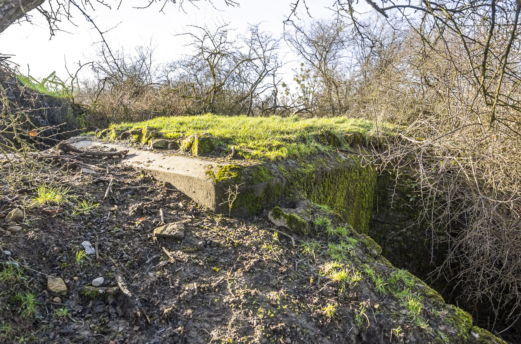 Ligne Maginot - DIEMERINGEN - (Blockhaus pour arme infanterie) - L'arrière du blockhaus. - Lenhard Christian