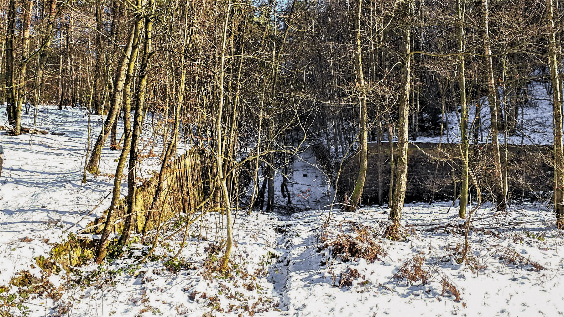 Ligne Maginot - HOCHWALD (fossé antichar du) (Obstacle antichar) - L'extrémité du fossé antichar au niveau de la casemate C1 - Gregory Fuchs