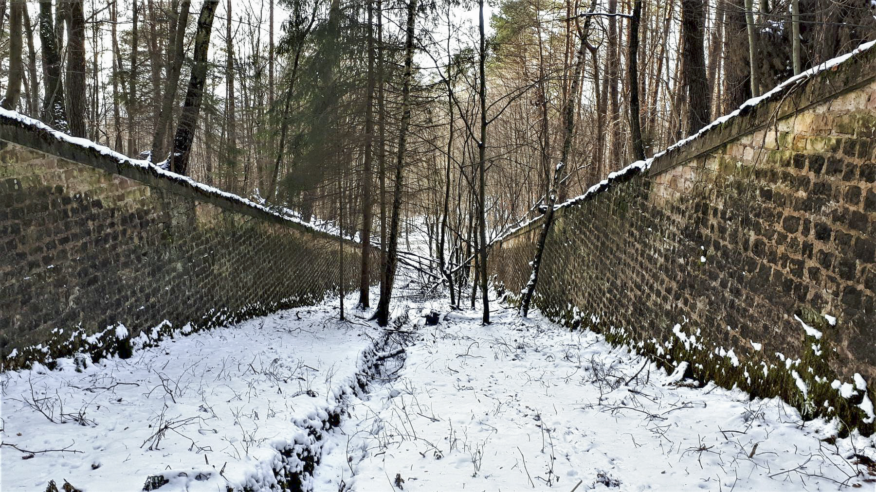 Ligne Maginot - HOCHWALD (fossé antichar du) (Obstacle antichar) - Le fossé antichar au niveau de la casemate C1 - Gregory Fuchs