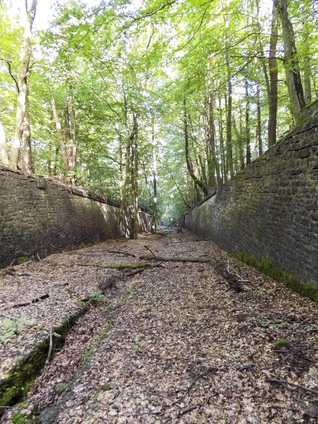 Ligne Maginot - HOCHWALD (FOSSé ANTICHAR DU) - (Obstacle antichar) - Fossé vue plongeante de C5 vers C6 - JL