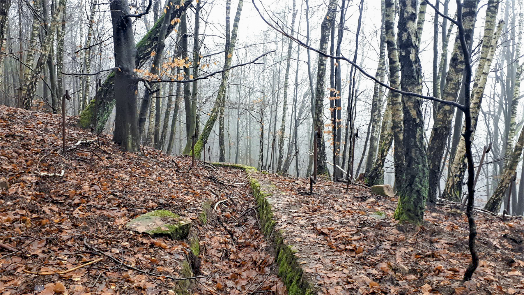 Ligne Maginot - HOCHWALD (FOSSé ANTICHAR DU) - (Obstacle antichar) - La cunette d'évacuation des eaux de pluie à l'extrémité du fossé de la casemate C5 - Gregory Fuchs