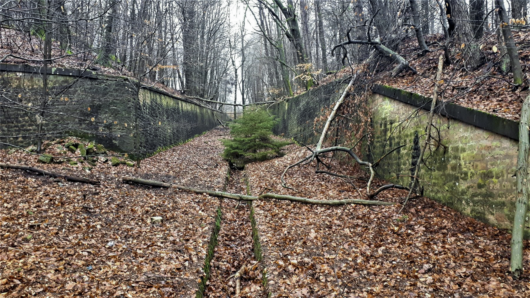 Ligne Maginot - HOCHWALD (FOSSé ANTICHAR DU) - (Obstacle antichar) - L'extrémité du fossé de la casemate C5 - Gregory Fuchs