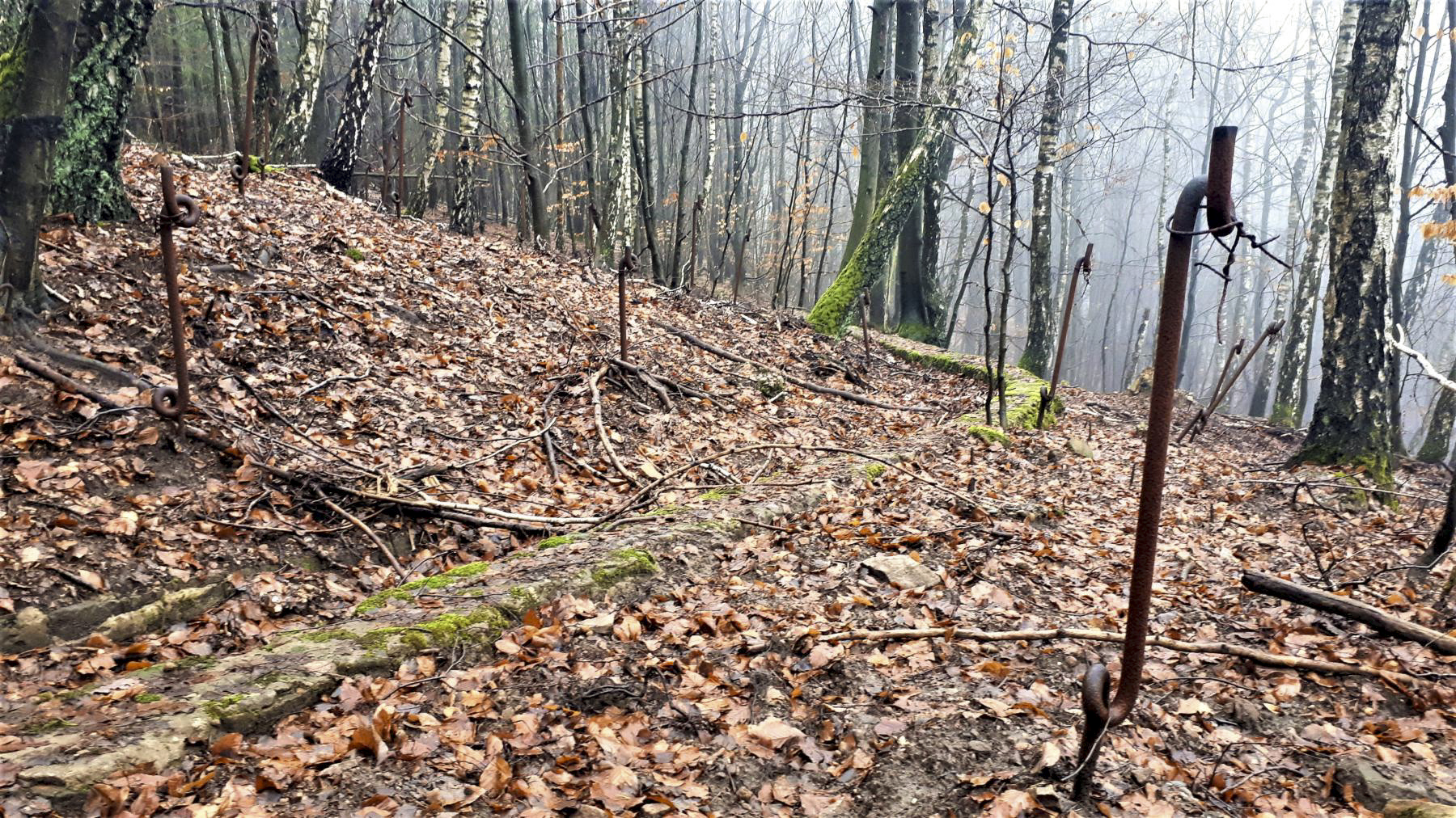 Ligne Maginot - HOCHWALD (FOSSé ANTICHAR DU) - (Obstacle antichar) - La cunette d'évacuation des eaux de pluie à l'extrémité du fossé de la casemate C5 - Gregory Fuchs