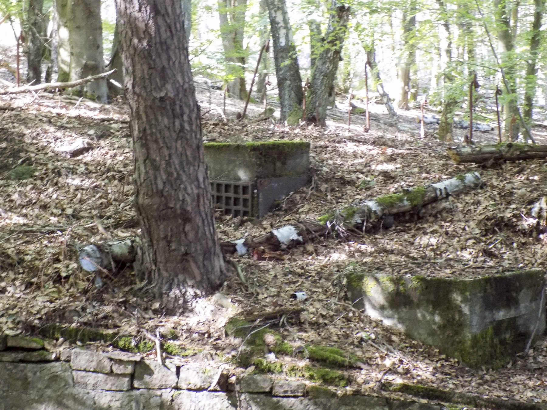 Ligne Maginot - HOCHWALD (FOSSé ANTICHAR DU) - (Obstacle antichar) - Fondation présente dans le fosse entre C5 et C6 - JL