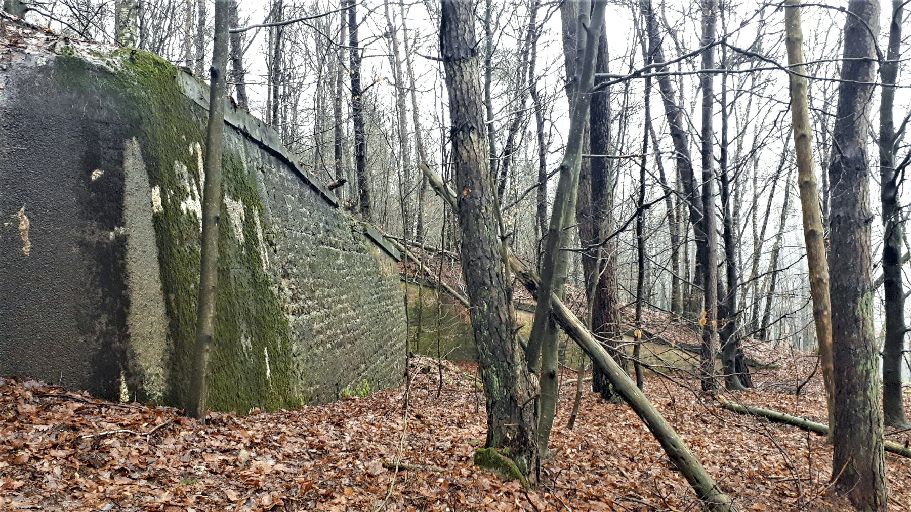 Ligne Maginot - HOCHWALD (FOSSé ANTICHAR DU) - (Obstacle antichar) - Au niveau de casemate C6, les fossés ne sont pas raccordés et ne comportent pas de mur de contre-escarpe - Gregory Fuchs
