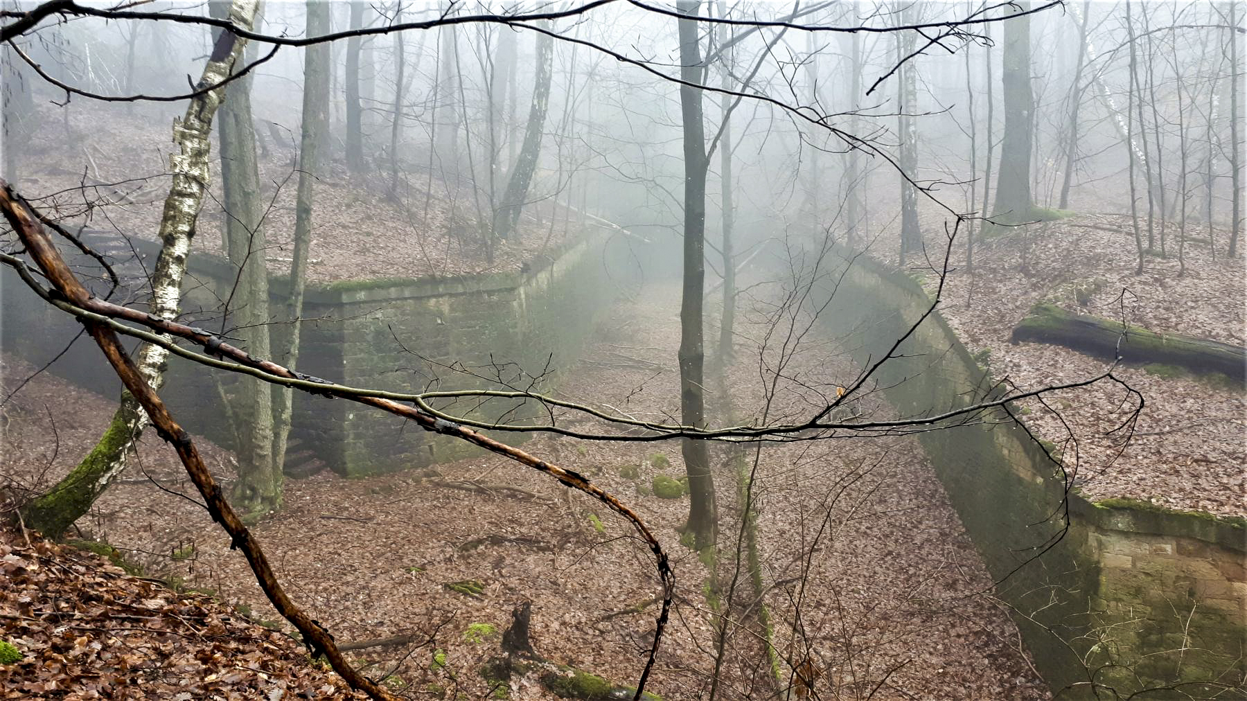 Ligne Maginot - HOCHWALD (FOSSé ANTICHAR DU) - (Obstacle antichar) - Raccordement entre le fossé de la casemate C6 et celui de la casemate C7 - Gregory Fuchs