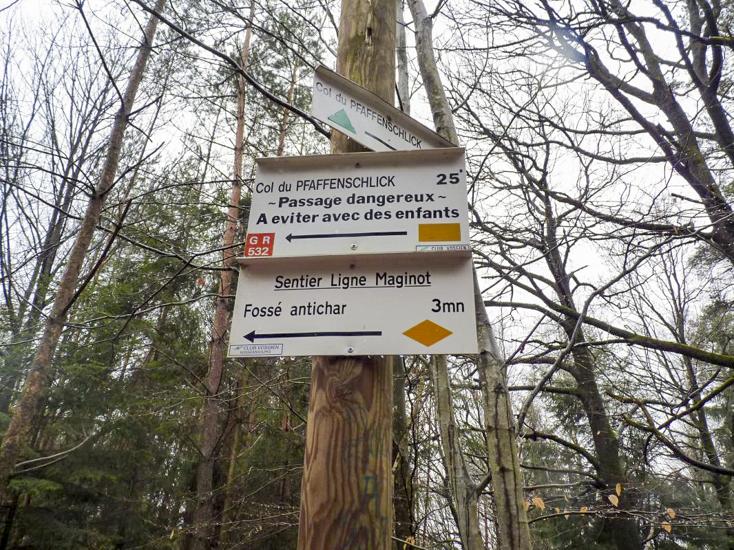 Ligne Maginot - HOCHWALD (FOSSé ANTICHAR DU) - (Obstacle antichar) - Sentier balisé du club vosgien menant au fossé antichar - Aditus