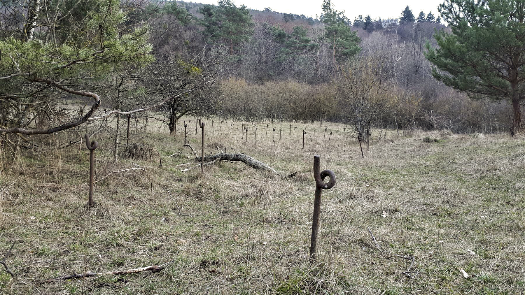 Ligne Maginot - HOCHWALD - (Ouvrage d'artillerie) - Réseau barbelés de l'ouvrage ouest - Gregory Fuchs