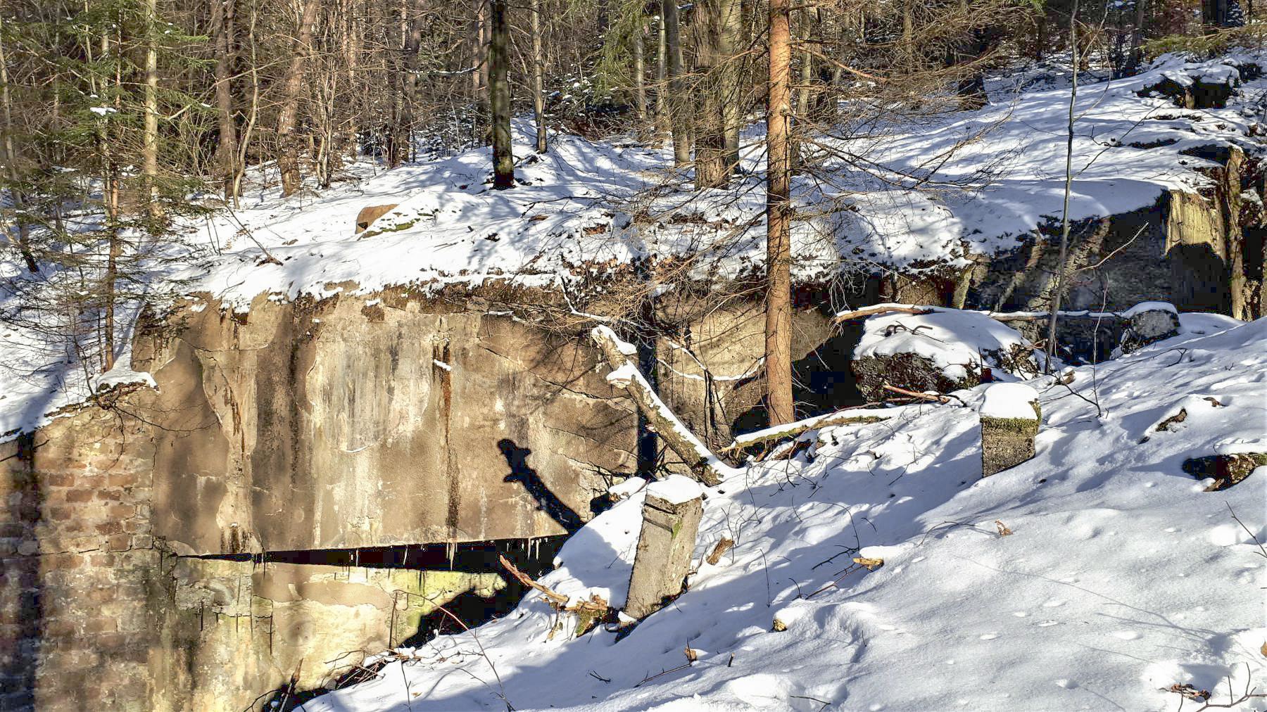 Ligne Maginot - HOCHWALD C2 - (Casemate d'infanterie) - La dalle de la casemate, la cloche JM est visible en haut à gauche - Gregory Fuchs