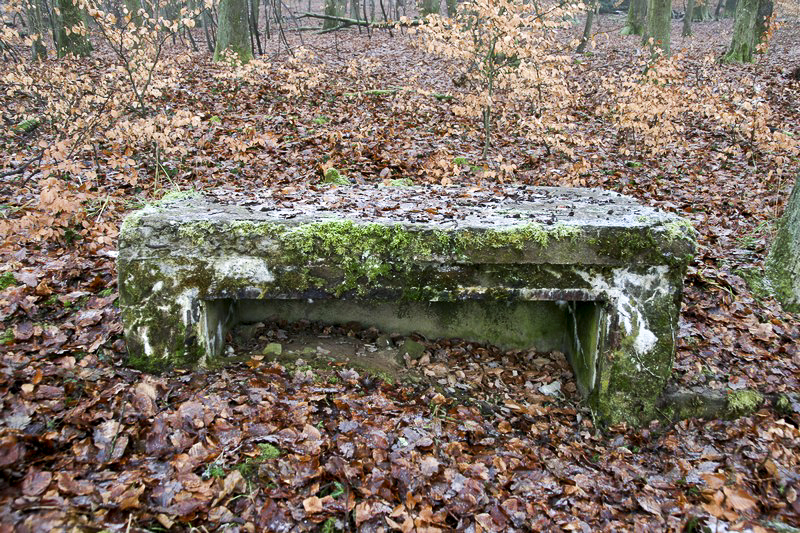 Ligne Maginot - HOCHWALD OUEST 1 - (Cuve pour canon) - La niche à munitions - GRUBER Franck