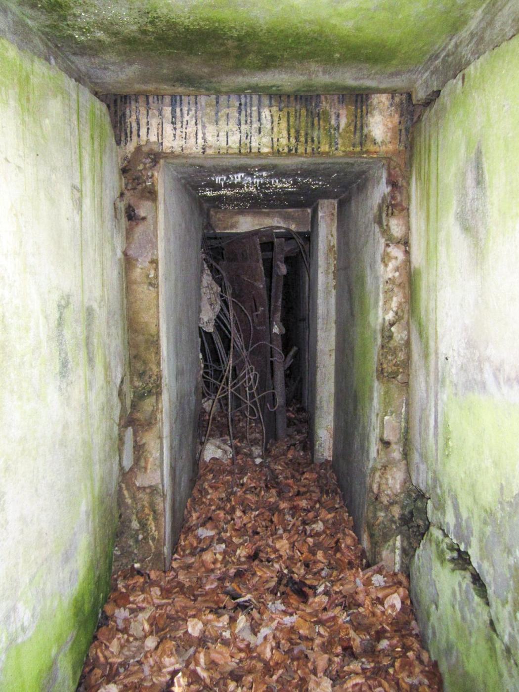 Ligne Maginot - HOCHWALD OUEST 2 - (Blockhaus pour arme infanterie) -  - Gregory Fuchs