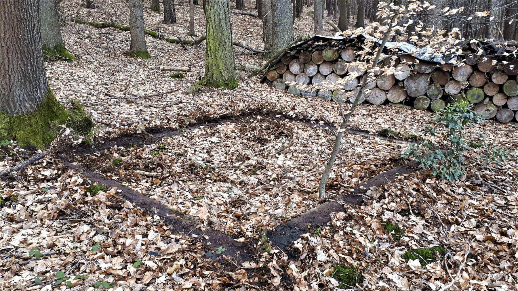 Ligne Maginot - HOCHWALD OUEST 5 - (Cuve pour canon) -  - Gregory Fuchs