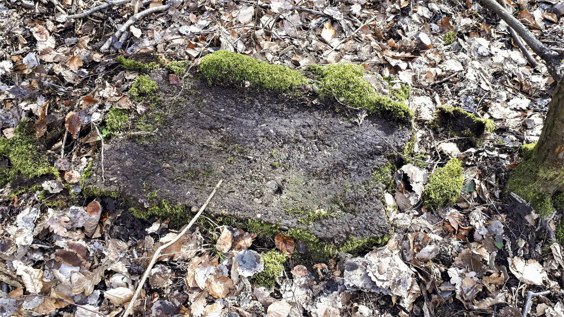 Ligne Maginot - HOCHWALD OUEST 7 - (Blockhaus pour arme infanterie) - Fragment de béton - Gregory Fuchs