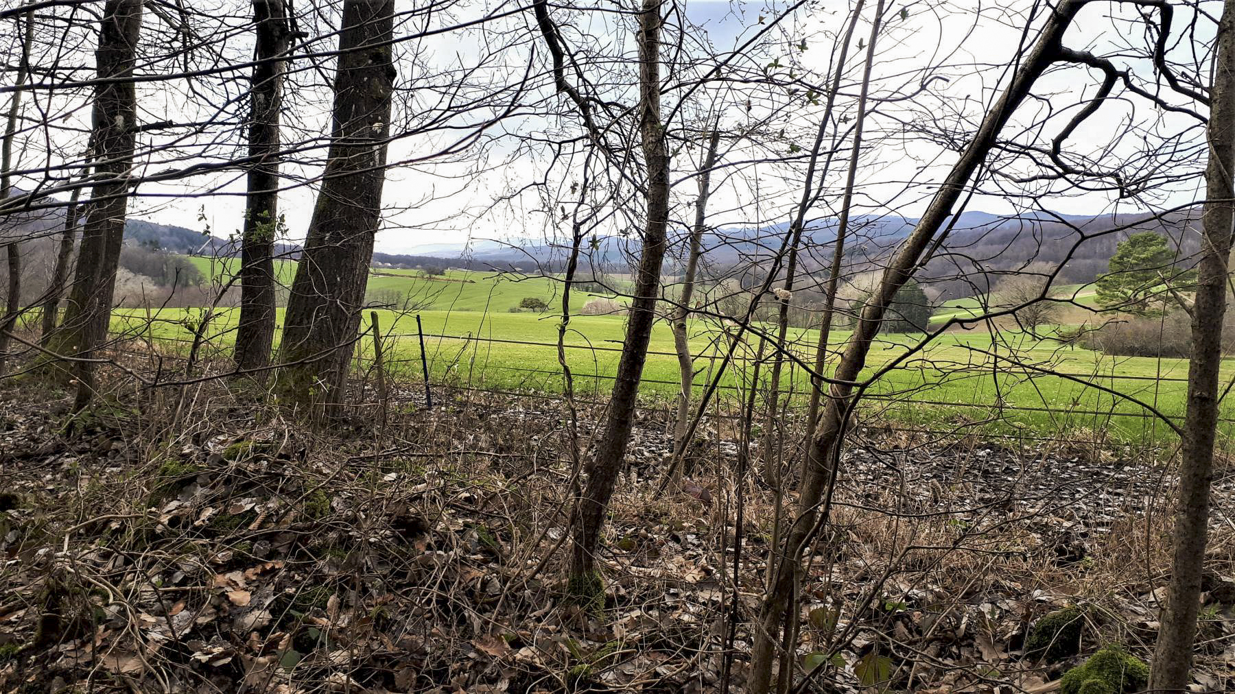 Ligne Maginot - HOCHWALD OUEST 7 - (Blockhaus pour arme infanterie) - Direction de tir du bloc - Gregory Fuchs