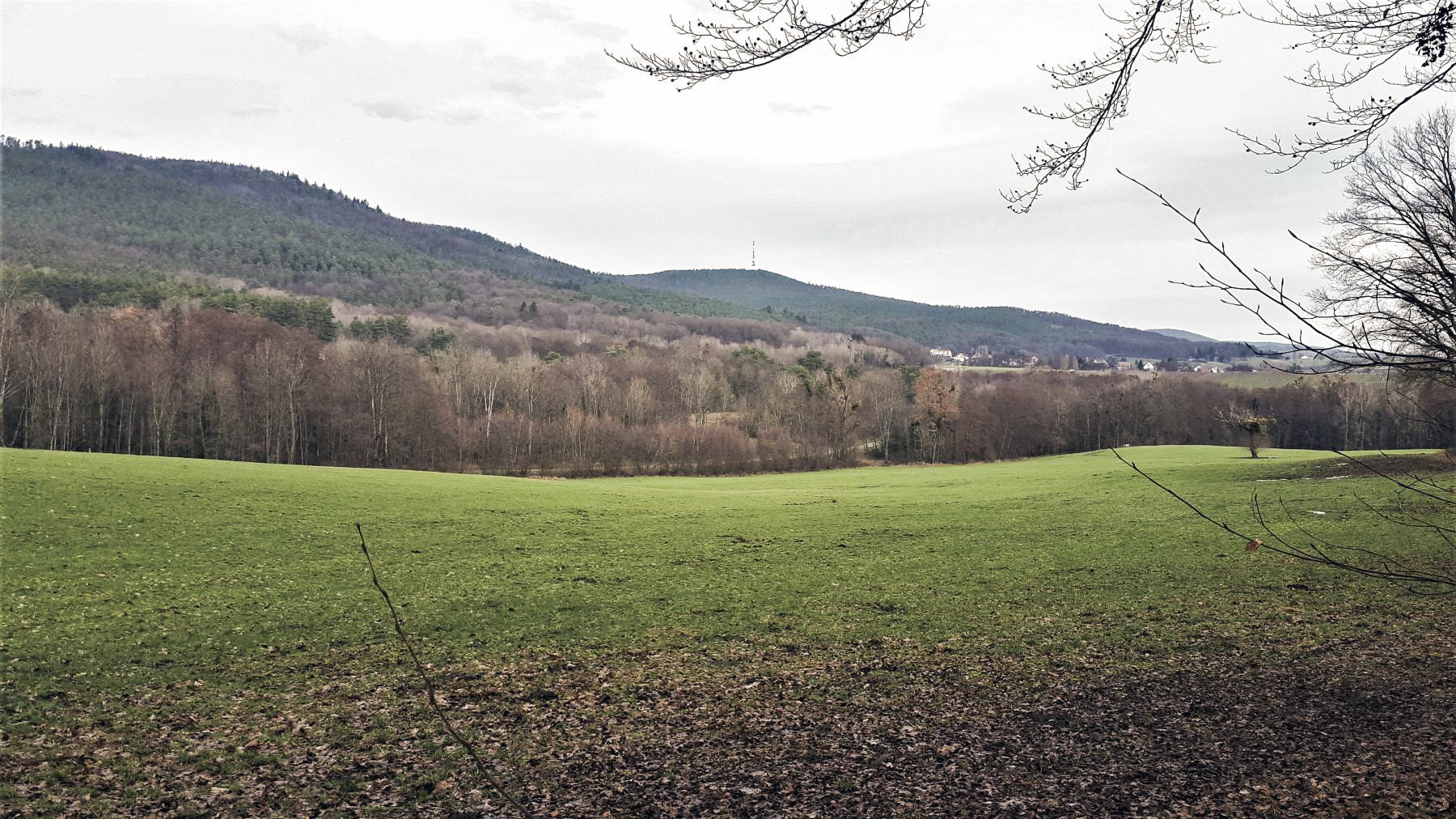 Ligne Maginot - OBERWALD 1 - (Blockhaus pour arme infanterie) - Direction de tir du bloc - Gregory Fuchs