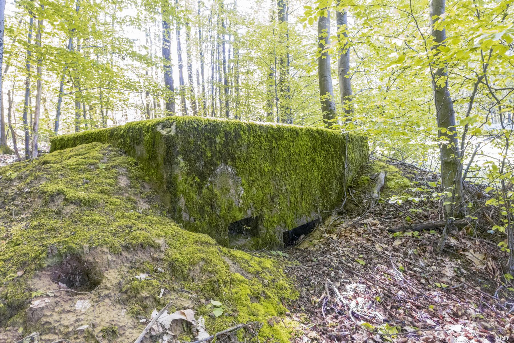 Ligne Maginot - OBERWALD - (Blockhaus pour arme infanterie) -  - Lia VERMEULEN