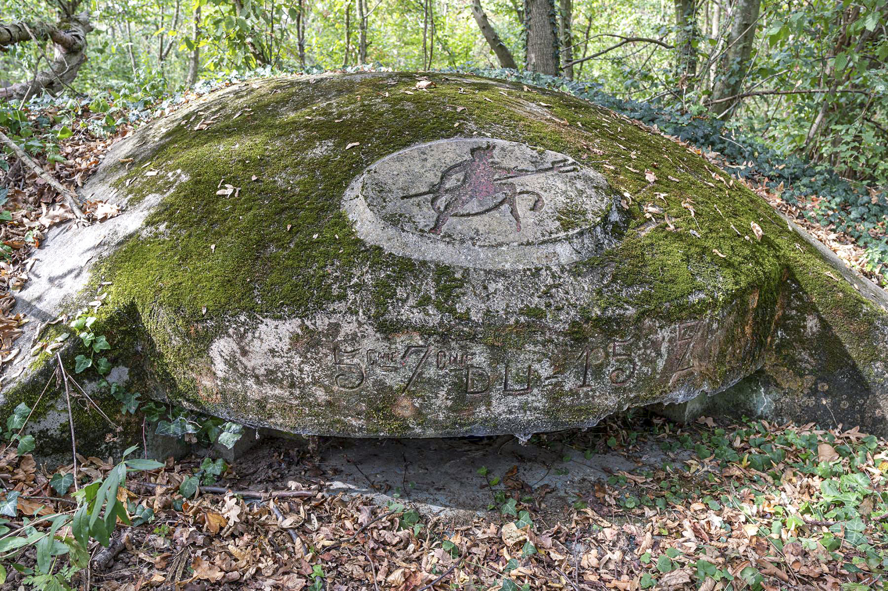 Ligne Maginot - OBERWALD EST NORD - (Blockhaus pour arme infanterie) -  - David Palmer