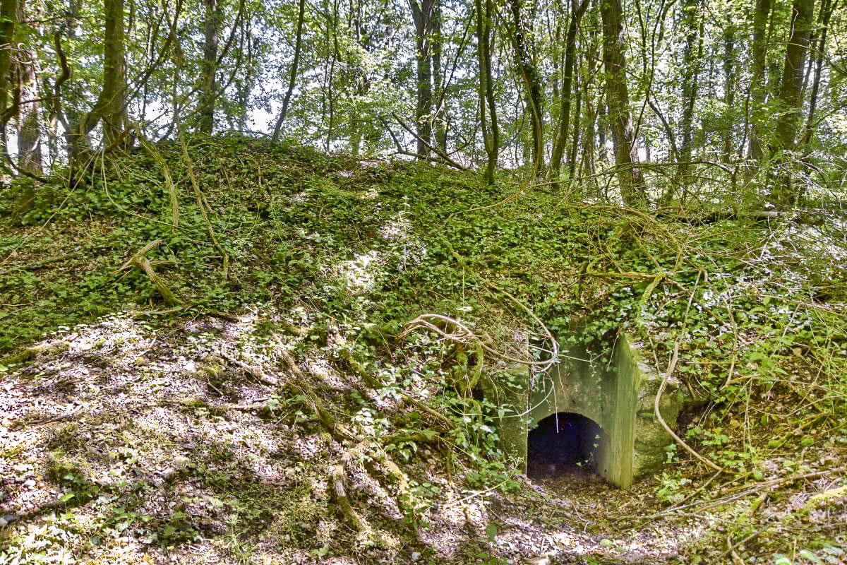 Ligne Maginot - OBERWALD EST NORD - (Blockhaus pour arme infanterie) - Entrée nord-ouest - Daniel Froehly