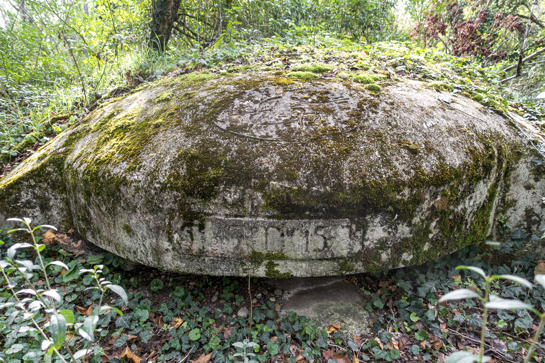 Ligne Maginot - OBERWALD SUD NORD-EST - (Blockhaus pour arme infanterie) -  - David Palmer