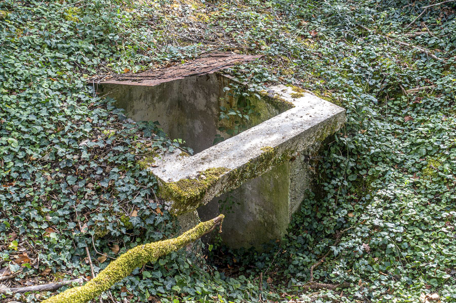 Ligne Maginot - OBERWALD SUD NORD-EST - (Blockhaus pour arme infanterie) - L'entrée - David Palmer
