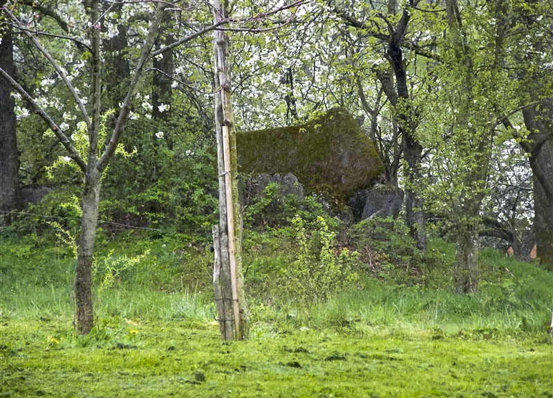 Ligne Maginot - PFAFFENBRONN 1 - (Blockhaus pour canon) -  - Jean-Louis AUBLET & Sylvie MAINGUIN