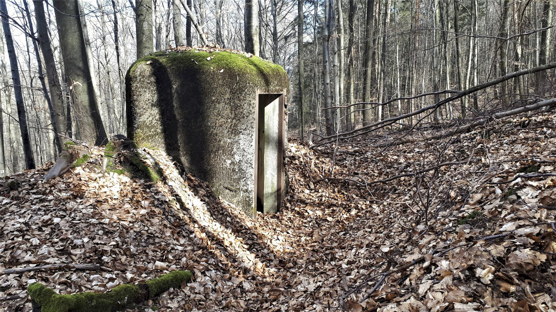 Ligne Maginot - PFAFFENBRONN 2 - (Blockhaus pour arme infanterie) - L'entrée du bloc dans une tranchée - Gregory Fuchs
