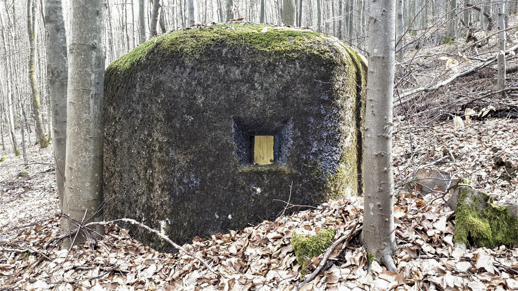 Ligne Maginot - PFAFFENBRONN 2 - (Blockhaus pour arme infanterie) - Créneau latéral de défense rapprochée - Gregory Fuchs