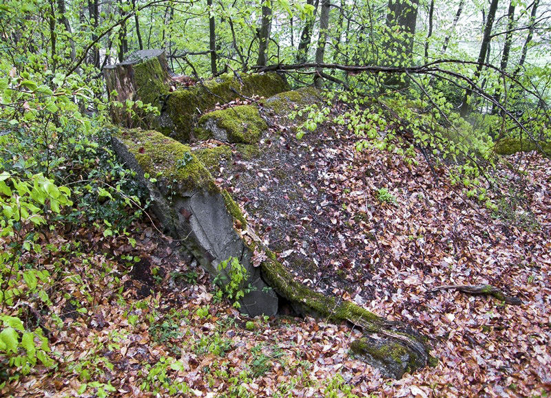 Ligne Maginot - PFAFFENBRONN 4 - (Blockhaus pour arme infanterie) -  - Jean-Louis AUBLET & Sylvie MAINGUIN