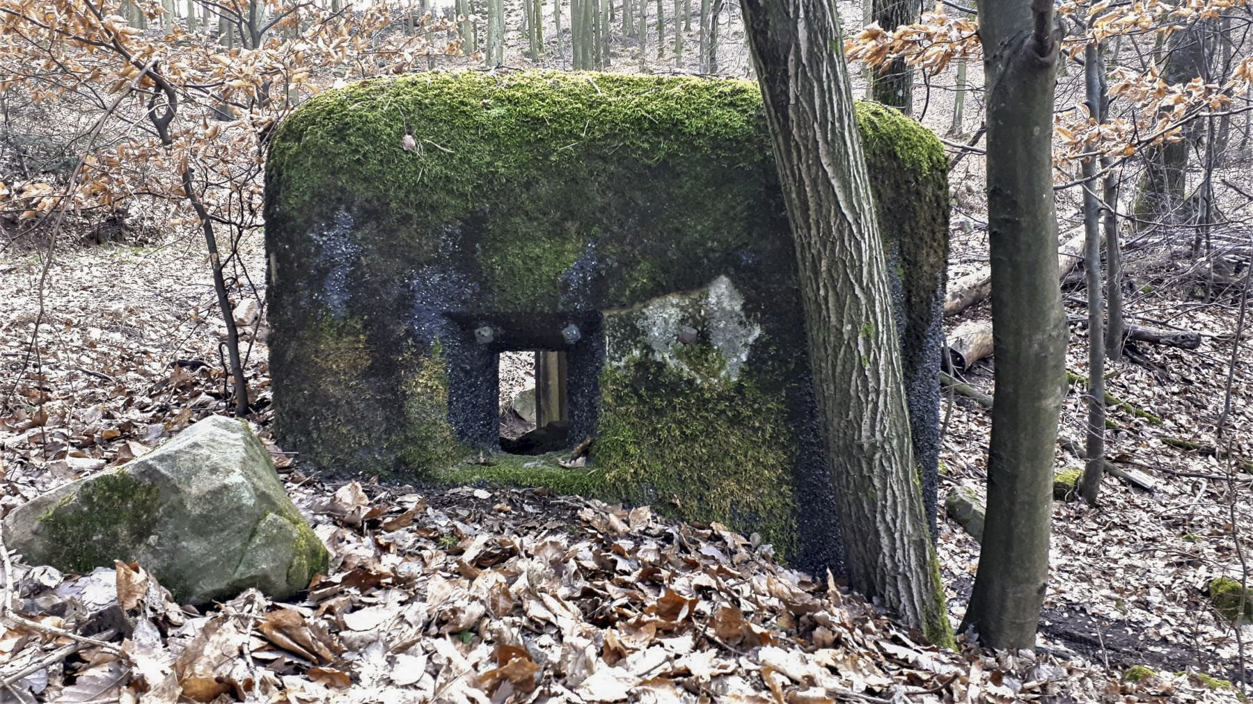 Ligne Maginot - PFAFFENBRONN 5 - (Blockhaus pour arme infanterie) - Créneau frontal - Gregory Fuchs