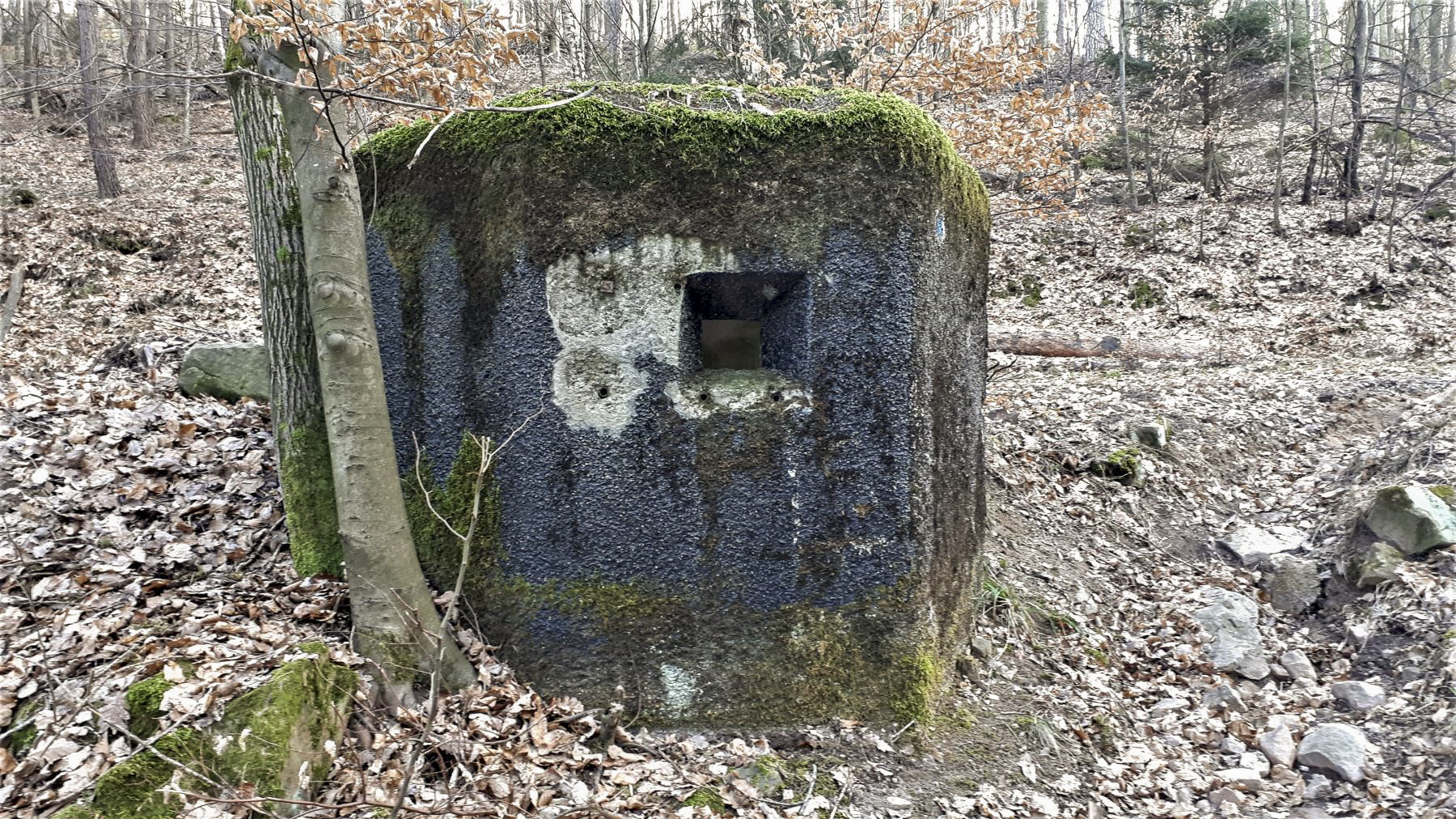 Ligne Maginot - PFAFFENBRONN 5 - (Blockhaus pour arme infanterie) - Créneau latéral de défense rapprochée - Gregory Fuchs