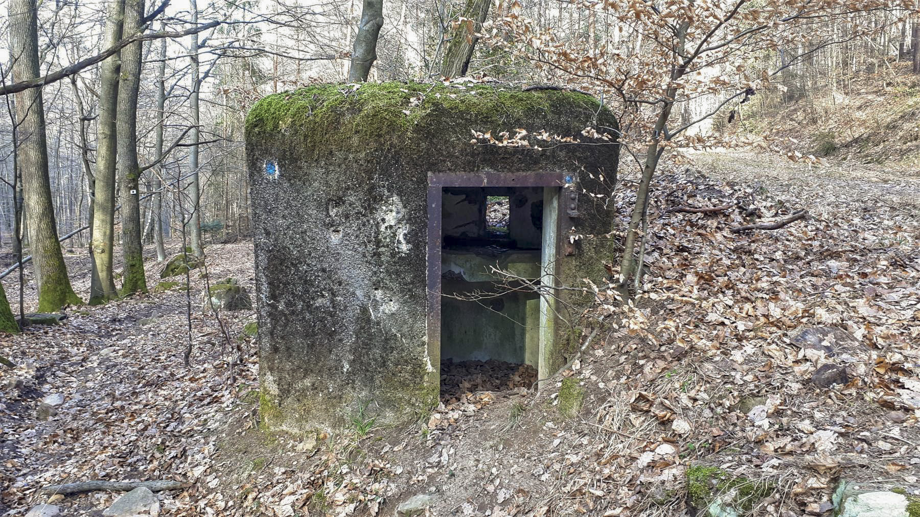 Ligne Maginot - PFAFFENBRONN 5 - (Blockhaus pour arme infanterie) - Entrée - Gregory Fuchs
