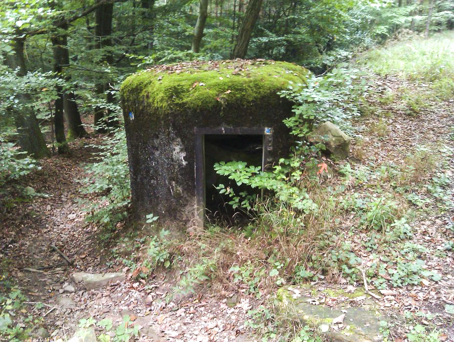 Ligne Maginot - PFAFFENBRONN 5 - (Blockhaus pour arme infanterie) - Entrée - donceuh