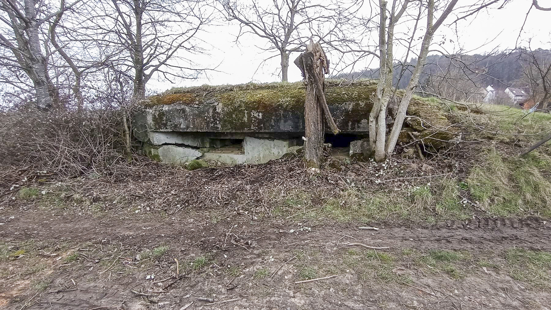 Ligne Maginot - PFAFFENBRONN 7 - (Blockhaus pour arme infanterie) - Façade avec deux créneaux pour mitrailleuse - Baptiste Gaudin