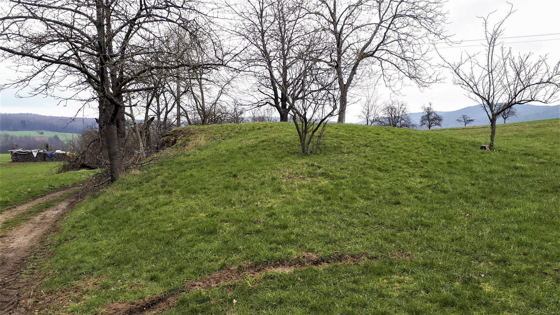 Ligne Maginot - PFAFFENBRONN 7 - (Blockhaus pour arme infanterie) - L'entrée remblayée - Gregory Fuchs