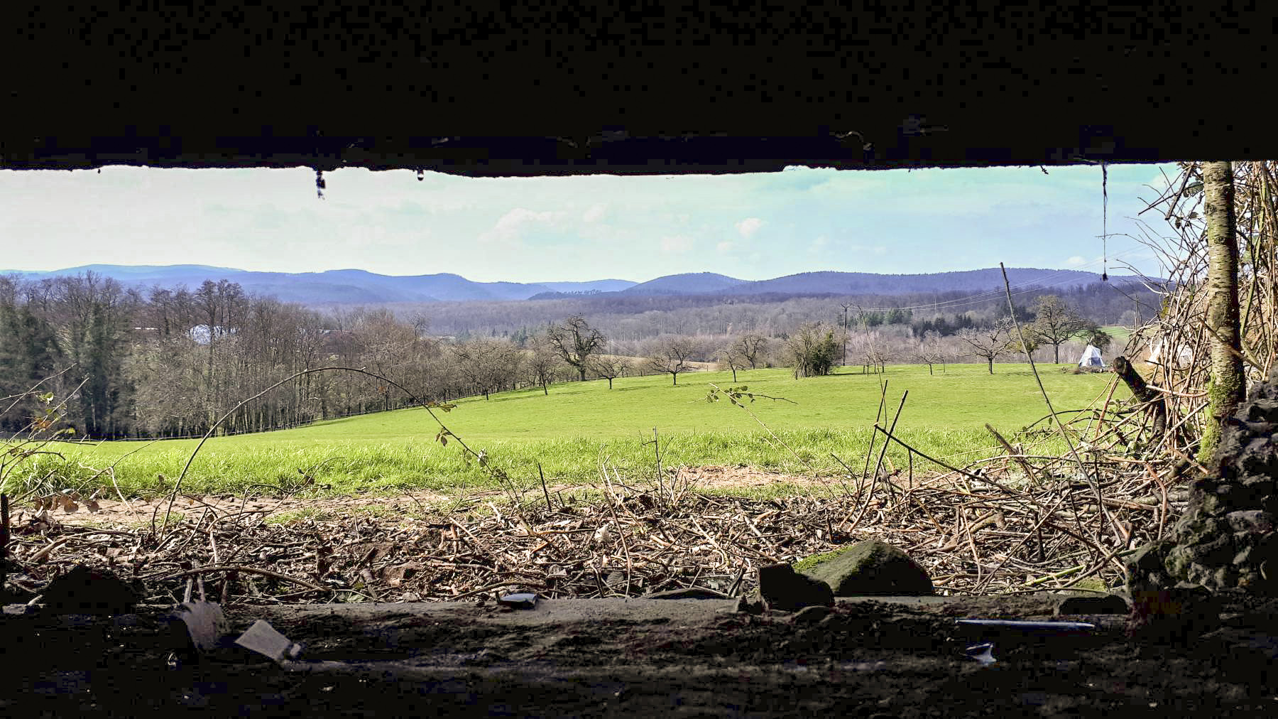 Ligne Maginot - PFAFFENBRONN 7 - (Blockhaus pour arme infanterie) - Vue depuis le créneau mitrailleuse de droite - Gregory Fuchs