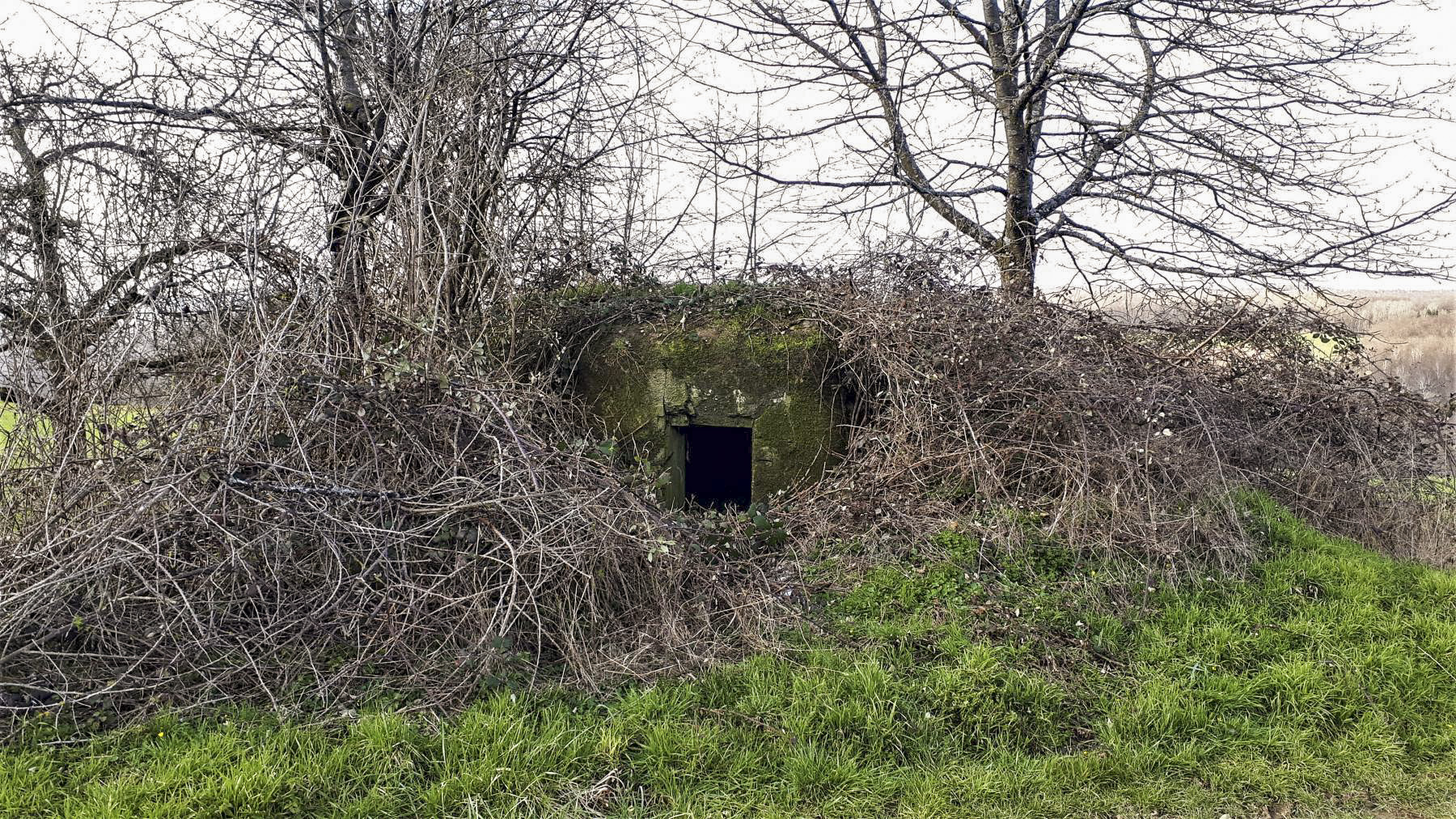Ligne Maginot - PFAFFENBRONN 8 - (Blockhaus pour arme infanterie) - L'entrée - Gregory Fuchs