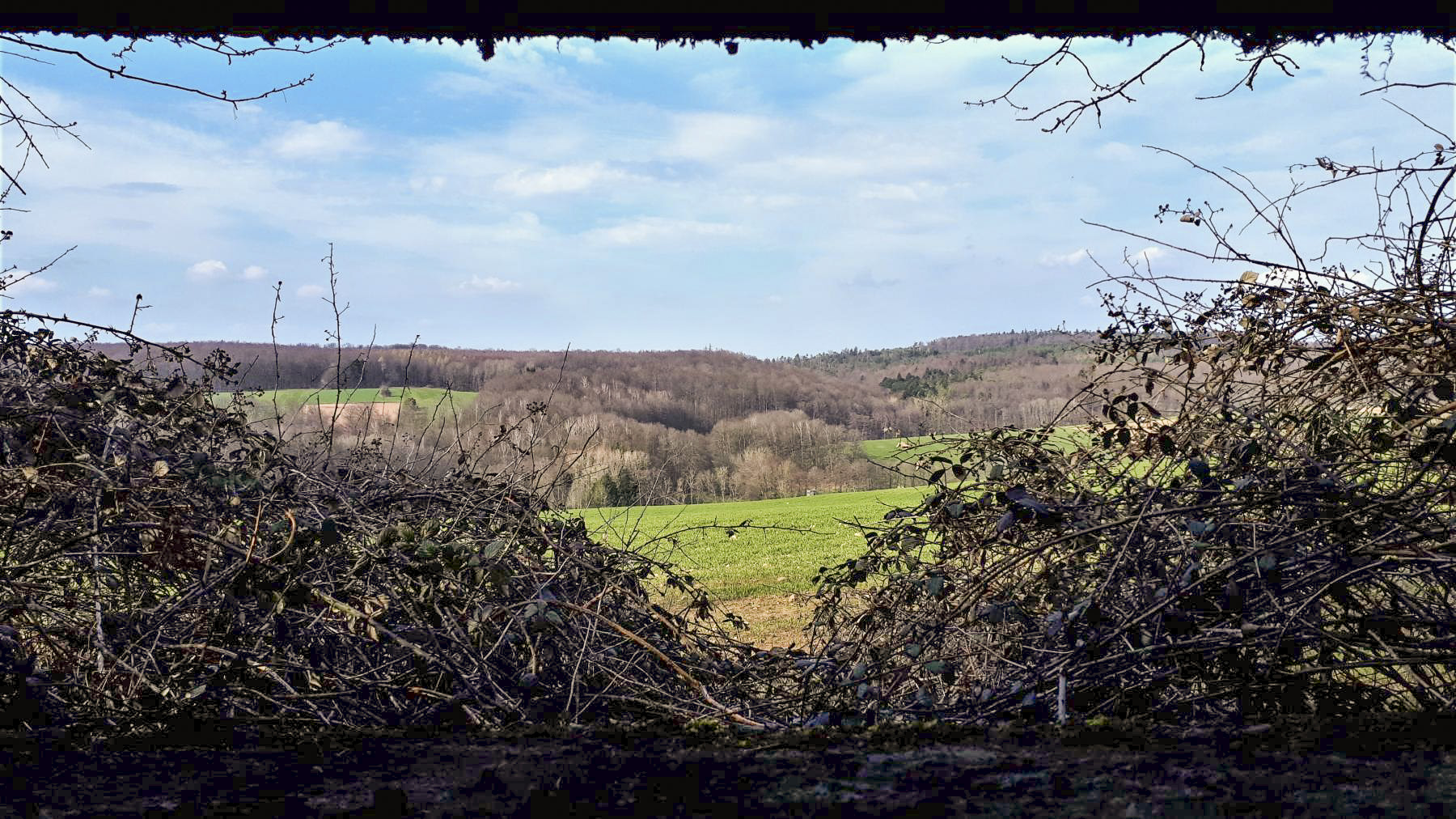 Ligne Maginot - PFAFFENBRONN 8 - (Blockhaus pour arme infanterie) - Vue depuis le créneau - Gregory Fuchs