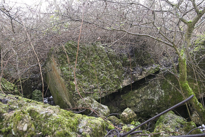Ligne Maginot - PFAFFENBRONN 9 - (Blockhaus de type indéterminé) - Ce qu'il en reste... - GRUBER Franck