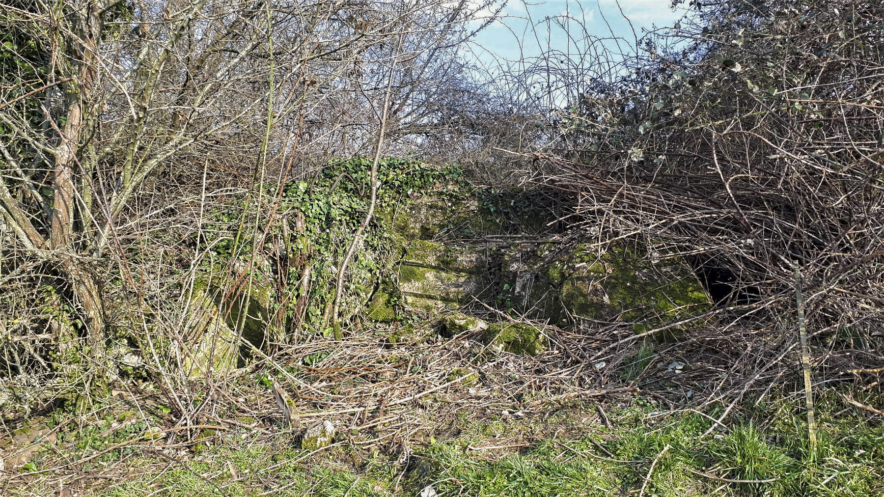 Ligne Maginot - PFAFFENBRONN 9 - (Blockhaus pour arme infanterie) - Le créneau en partie visible - Gregory Fuchs