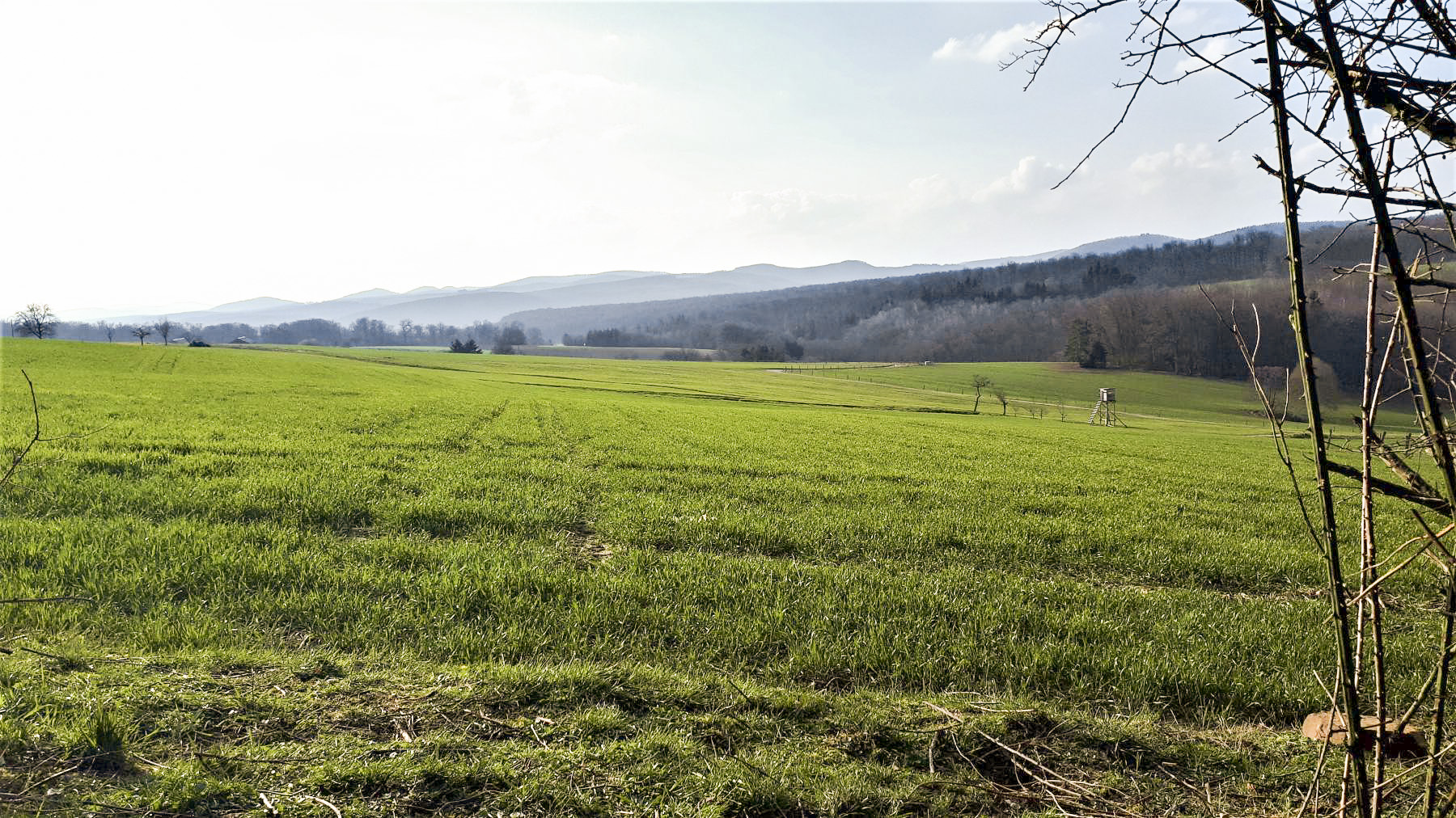 Ligne Maginot - PFAFFENBRONN 9 - (Blockhaus pour arme infanterie) - Direction de tir du bloc - Gregory Fuchs